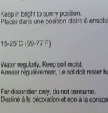 Magazoo Plante carnivore / Venus fly trap