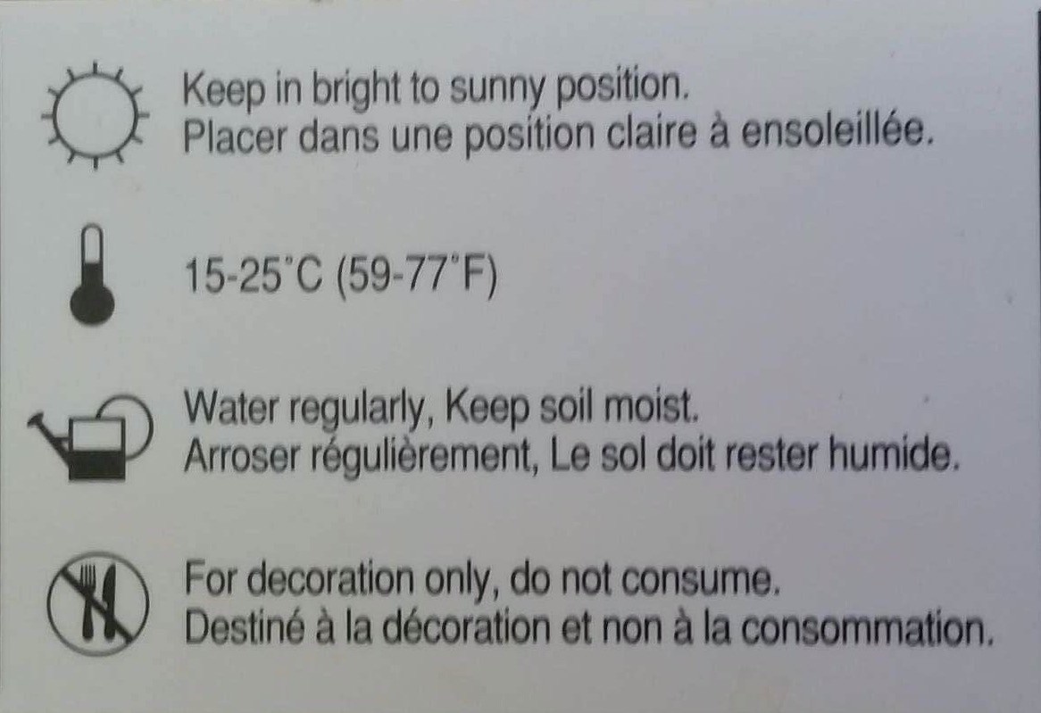 Magazoo Carnivorous plant / Venus fly trap