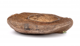 NewCal Pets NEWCAL NC-CCHFB Demi-plat en noix de coco