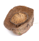 NewCal Pets NEWCAL NC-CCHFB Demi-plat en noix de coco