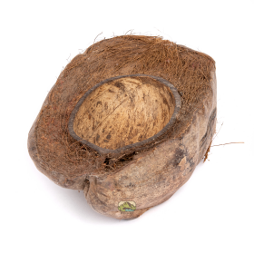 NewCal Pets Coconut Half Dish