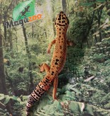 Magazoo Leopard gecko male tangerine