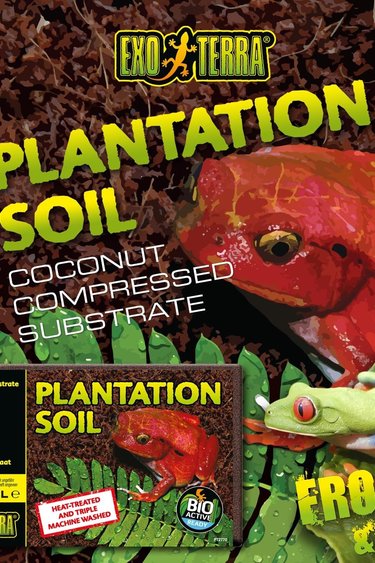Exoterra Terre plantation brique – Plantation Soil block