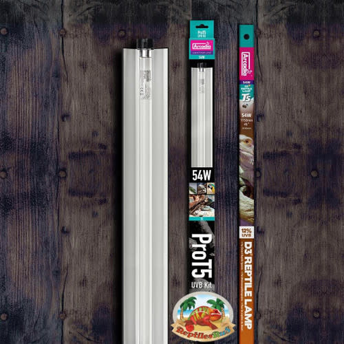 Arcadia ARCADIA Ensemble PRO T5 Ensemble UVB 12% lampe de désert