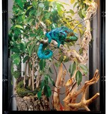 Zoomed Deluxe ReptiBreeze® Chameleon Kit