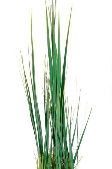 Aqua Globe AQUAGLOBE AQ-SG33 Plante en pointe 33" de haut