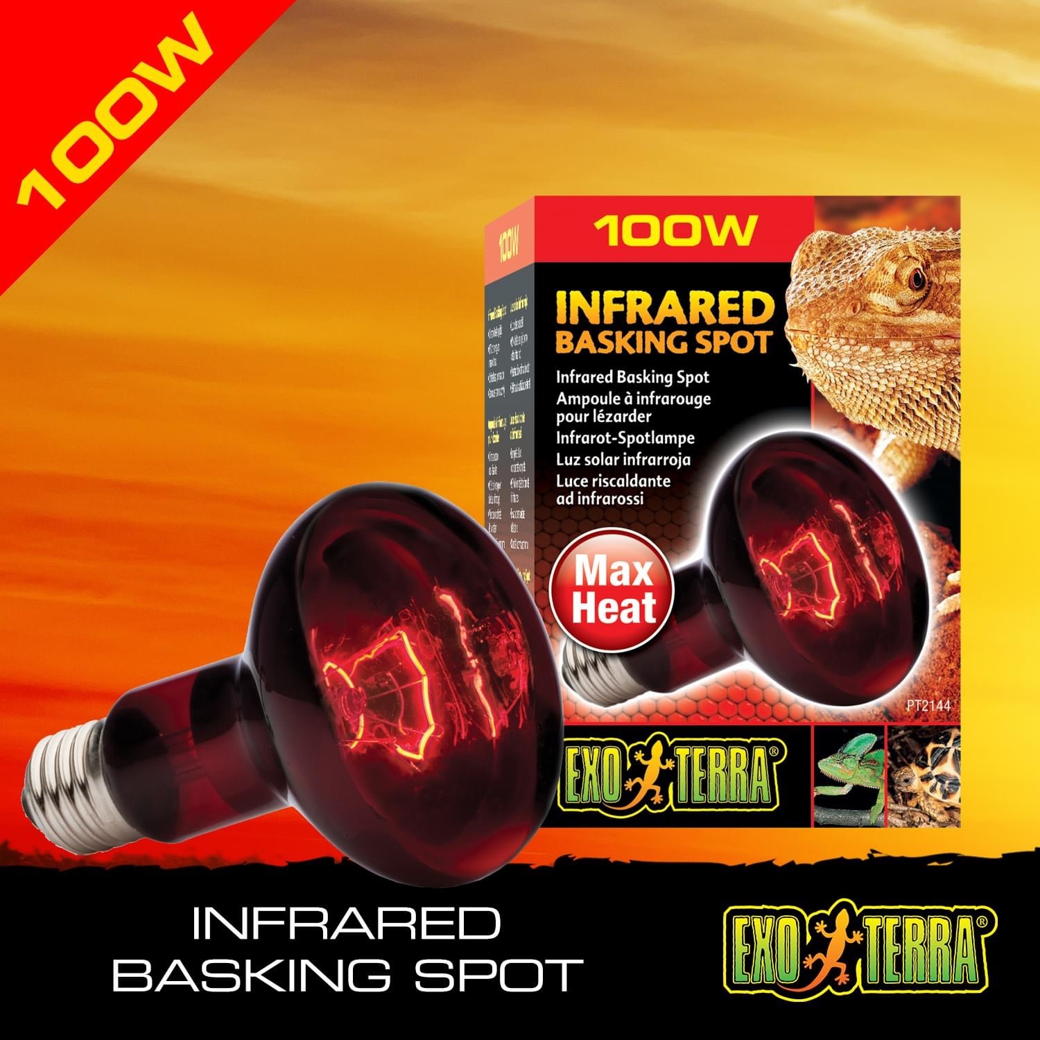 Exoterra EXO TERRA Ampoule infrarouge