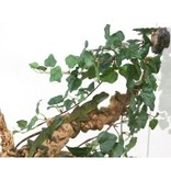 Pet-Tekk Grappe de vigne de jungle 24"/Jungle Vine Cluster