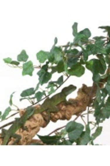 Pet-Tekk Grappe de vigne de jungle 24"/Jungle Vine Cluster