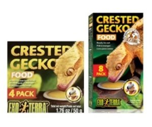 Gecko food hotsell