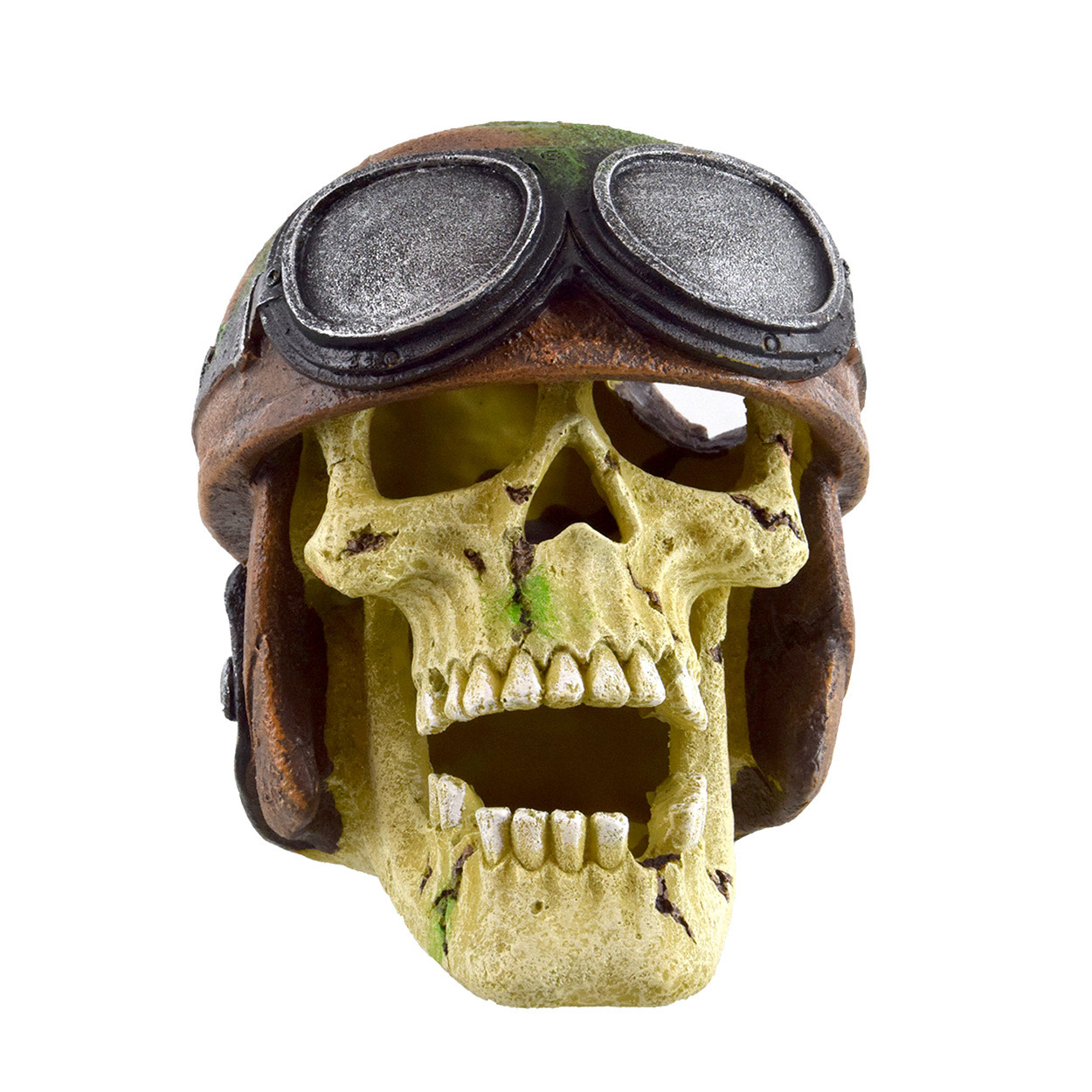 Treasures underwater Pilot Skull