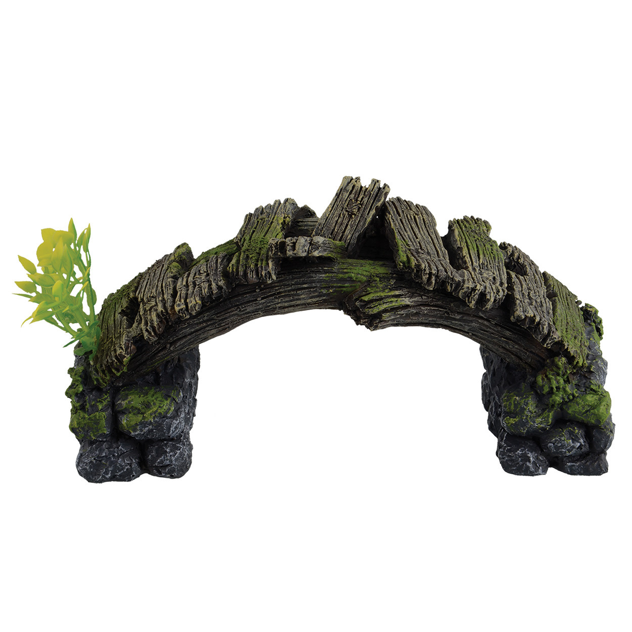 Treasures underwater Wooden Bridge