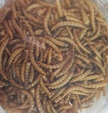 Magazoo Dried mealworms