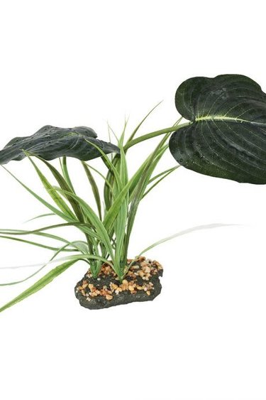 Komodo kOMODO KD-93203 Plante de la forêt