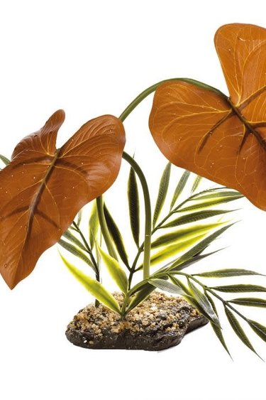 Komodo KOMODO KD-93204 Plante de la forêt tropicale