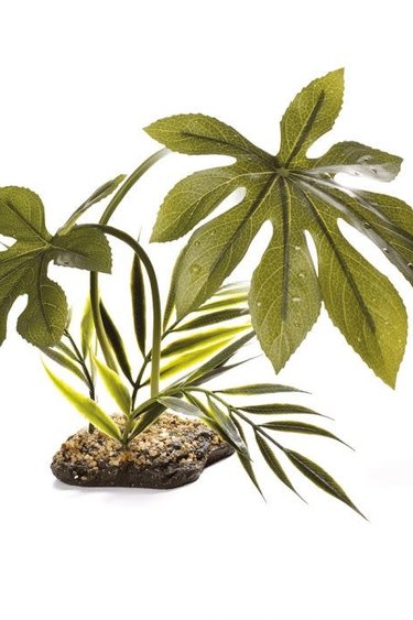 Komodo KOMODO KD-93205 Plante de la jungle