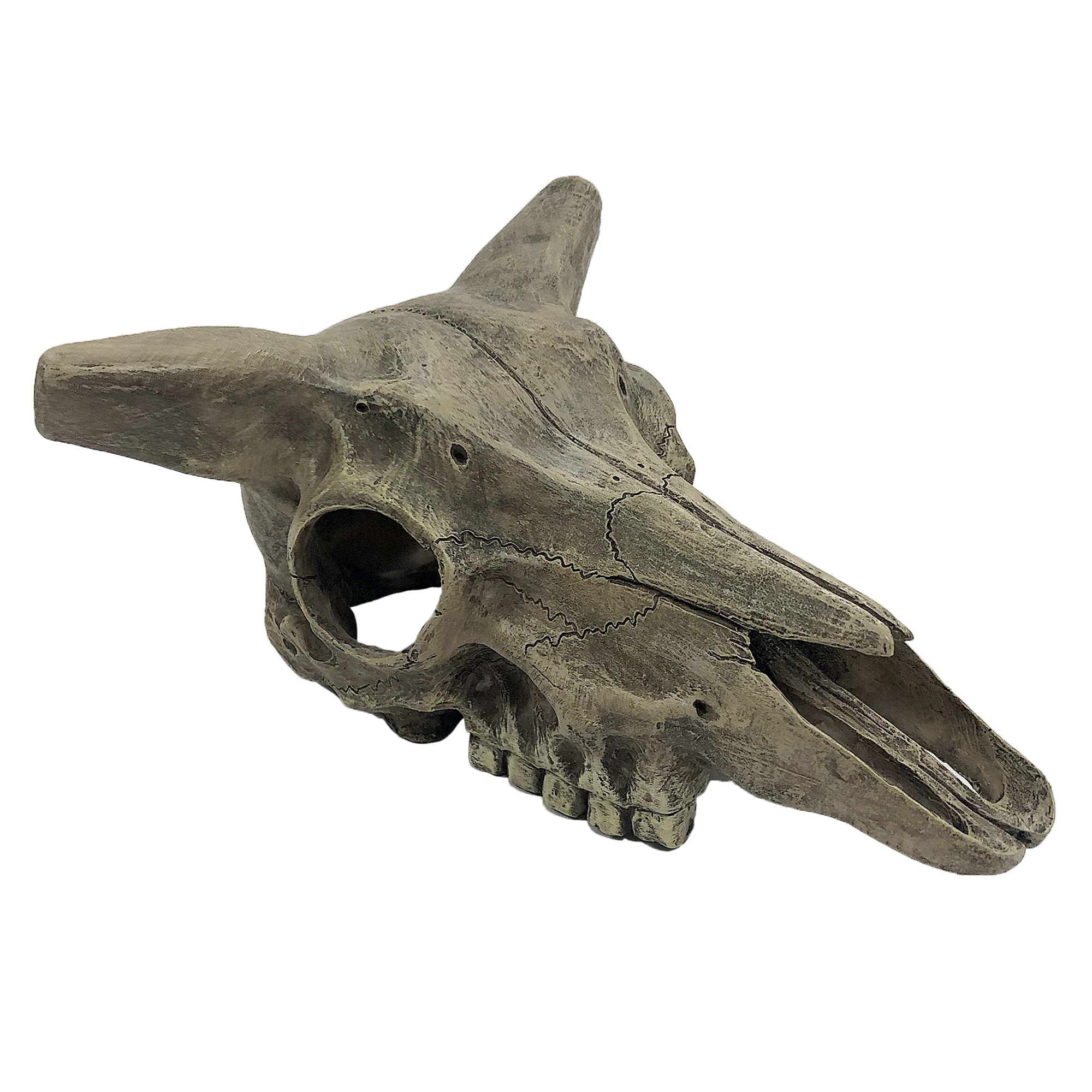 Komodo KOMODO KD-93221Crâne de cerf