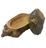 Komodo Forest Hiding Den