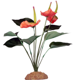 Komodo KOMODO KD-93201 Anthurium Bush avec gravier