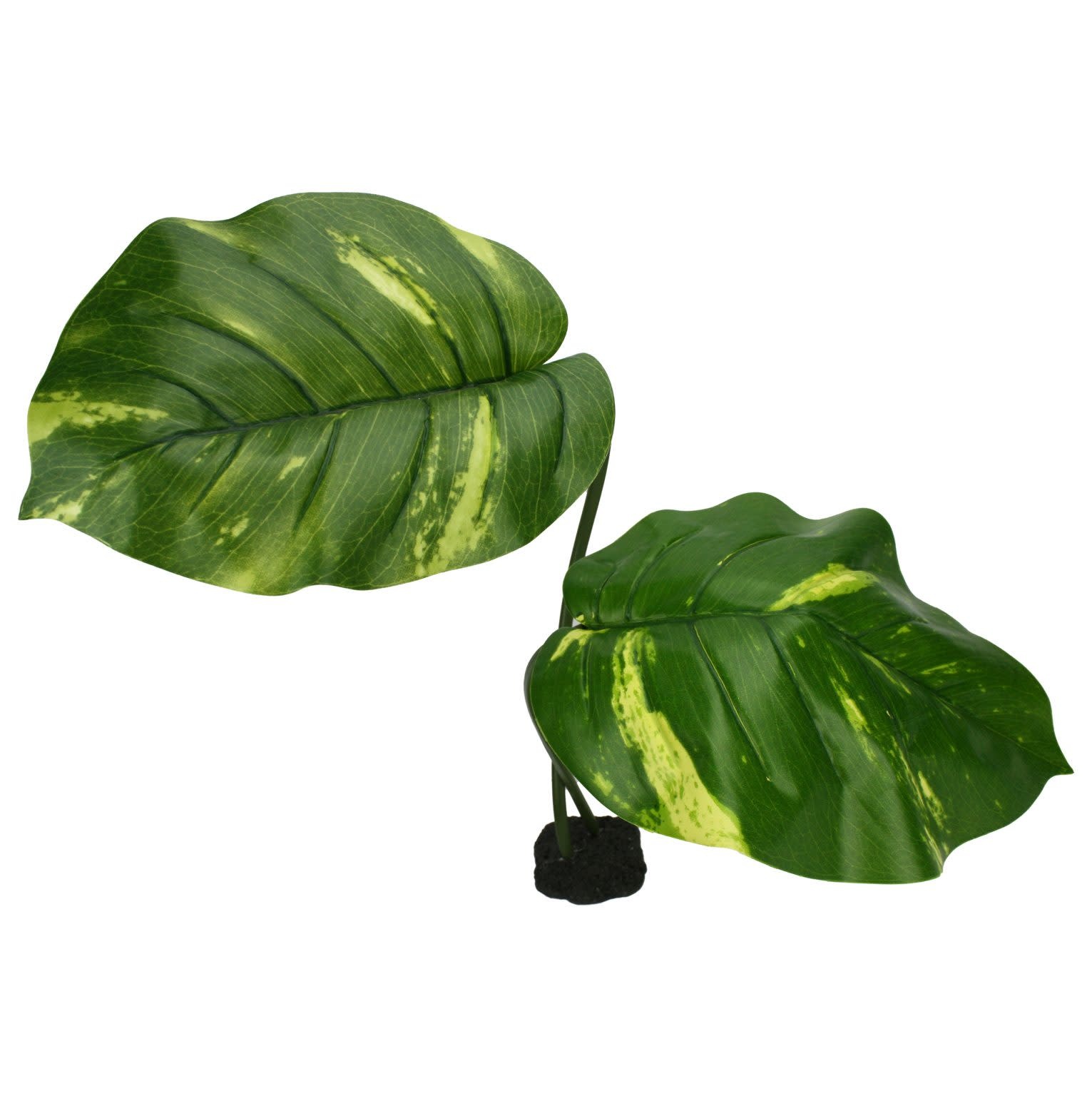 Komodo KOMODO KD-93202 Plante Guyane Jumbo