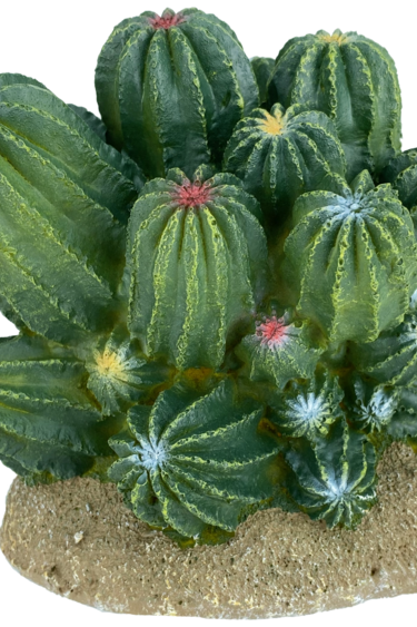 Komodo KOMODO KD-93321 Cactus Baril