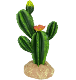Komodo KOMODO KD-93323 Cactus fleur