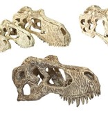 Komodo T-Rex Skull