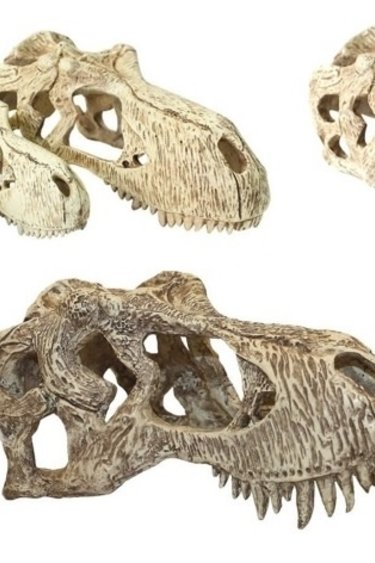 Komodo KOMODO Crâne de T-Rex