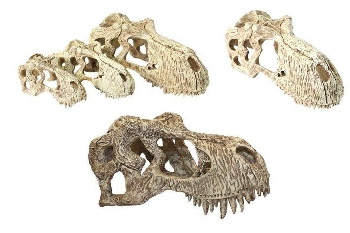 Komodo KOMODO Crâne de T-Rex