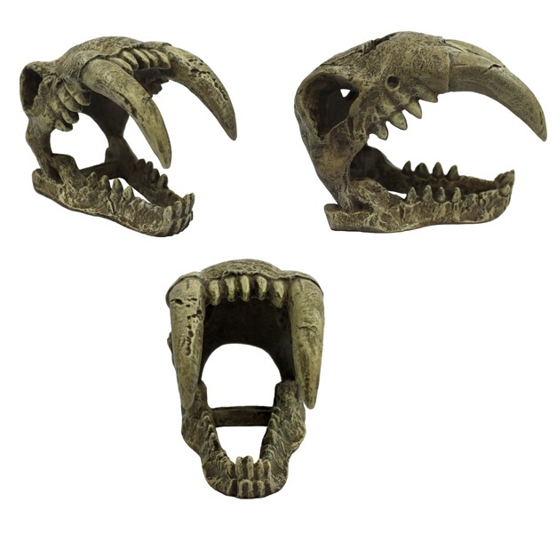 Komodo KOMODO KD-93219 Tigre à dents de sabre