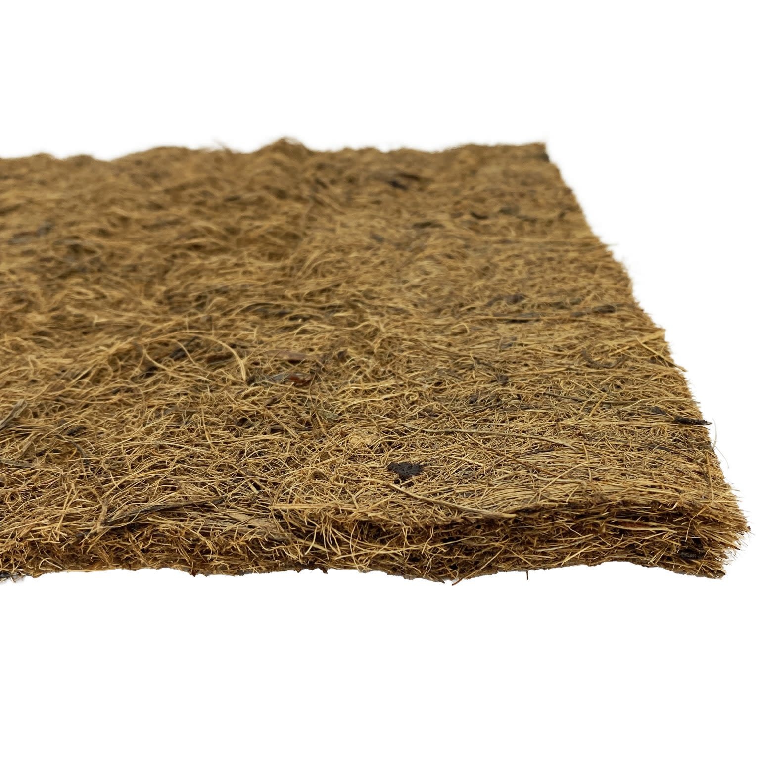 Komodo Matelas en fibre de coco - Coconut Coir Fiber Pad