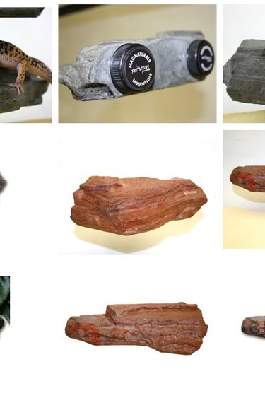 Pet-Tekk PET-TEKK Plateforme en forme de roche/Rock Ledge