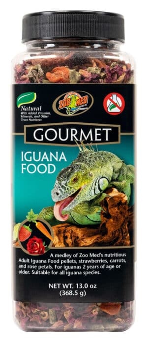 Zoomed Gourmet Iguana Food