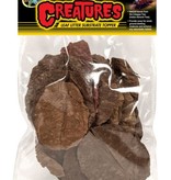 Zoomed Creatures™ Leaf Litter Substrate Topper