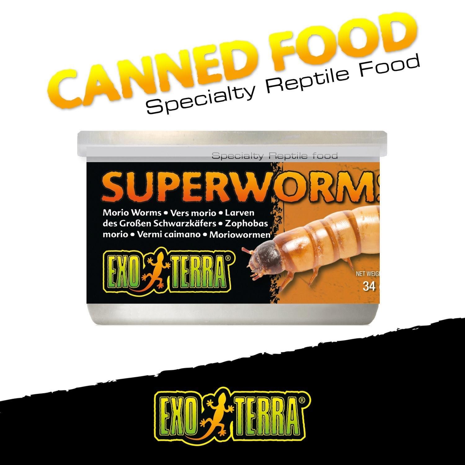 Exoterra EXO TERRA Nourriture en conserve Exo Terra