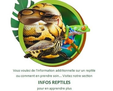 INFOS REPTILES