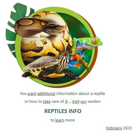 REPTILES INFO