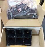 Magazoo Seedling kit for Mimosa pudica plant