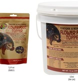 Zoomed Tortoise & Box Turtle Flower Food Topper