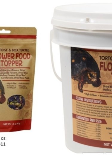 Zoomed Tortoise & Box Turtle Flower Food Topper