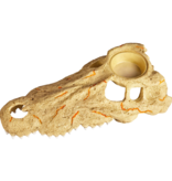Zilla Rapid Sense Decor - Crocodile Skull - Large