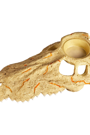 Zilla ZILLA 67973 Grand crâne de crocodile