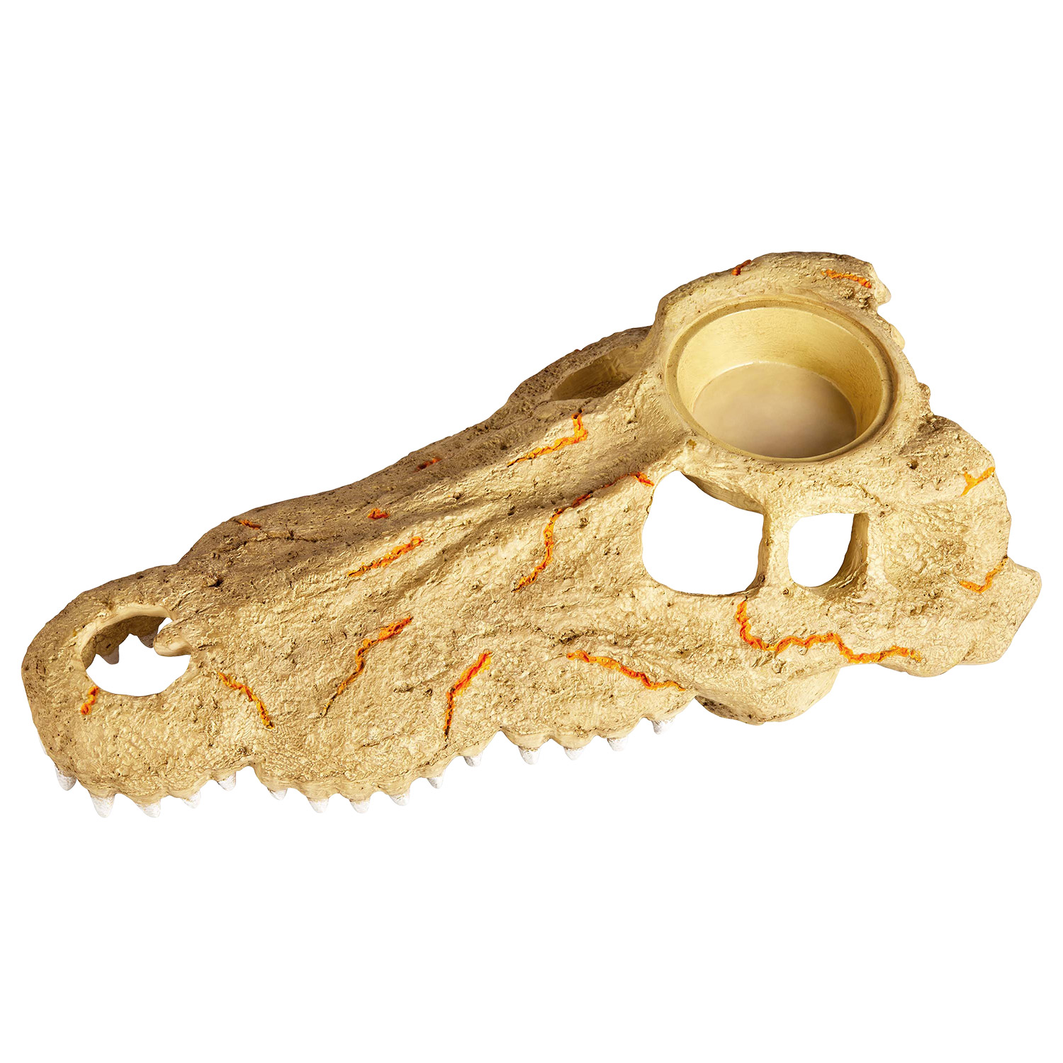 Zilla Grand crâne de crocodile - Rapid Sense Decor - Crocodile Skull - Large