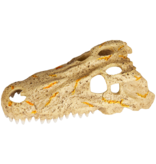 Zilla Crâne de Crocodile - Moyen - Rapid Sense Decor - Crocodile Skull - Medium
