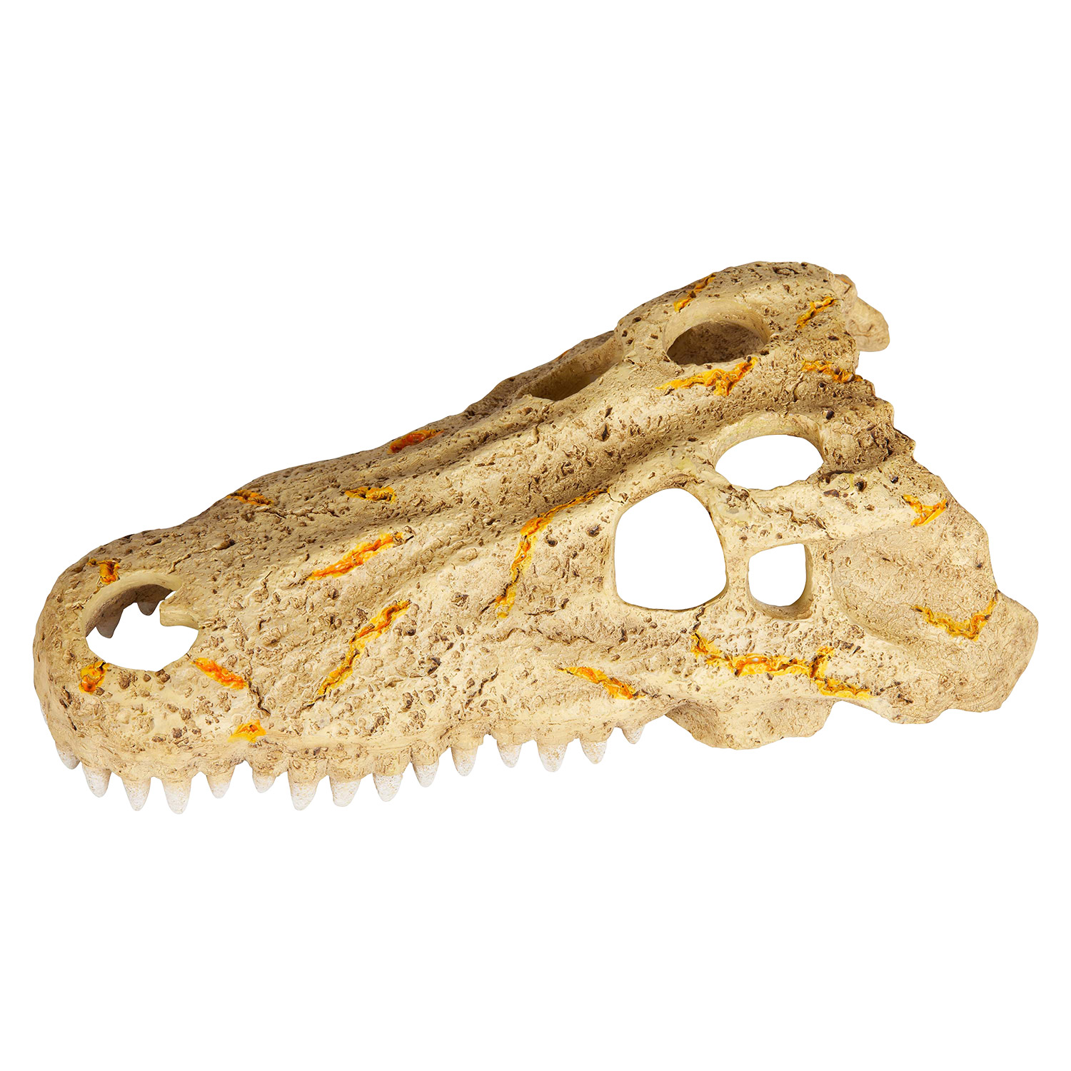Zilla Crâne de Crocodile - Moyen - Rapid Sense Decor - Crocodile Skull - Medium