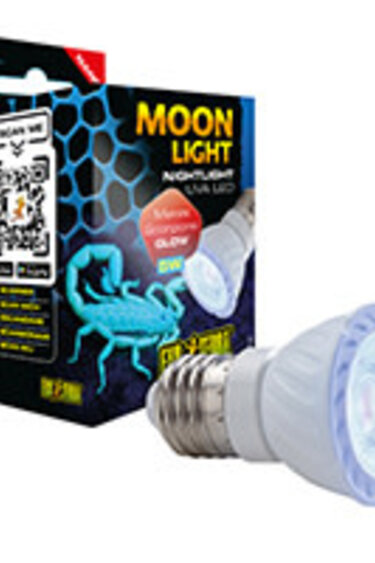 Exoterra EXO TERRA PT2367 Ampoule nocturne à DEL à rayons UVA, nano, 5 W