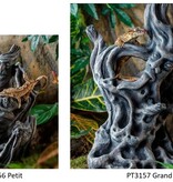 Exoterra EXO TERRA Ornement Tiki