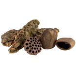 Jurassic Reptile JURASSIC REPTILE 21978 Décoration naturelle MorceauX de liège et gousseS de tanin