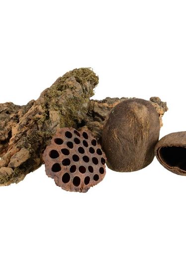 Jurassic Reptile JURASSIC REPTILE 21978 Décoration naturelle MorceauX de liège et gousseS de tanin