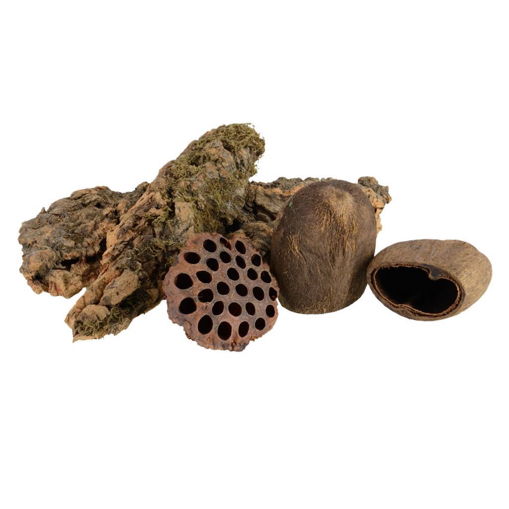 Jurassic Reptile JURASSIC REPTILE 21978 Décoration naturelle MorceauX de liège et gousseS de tanin